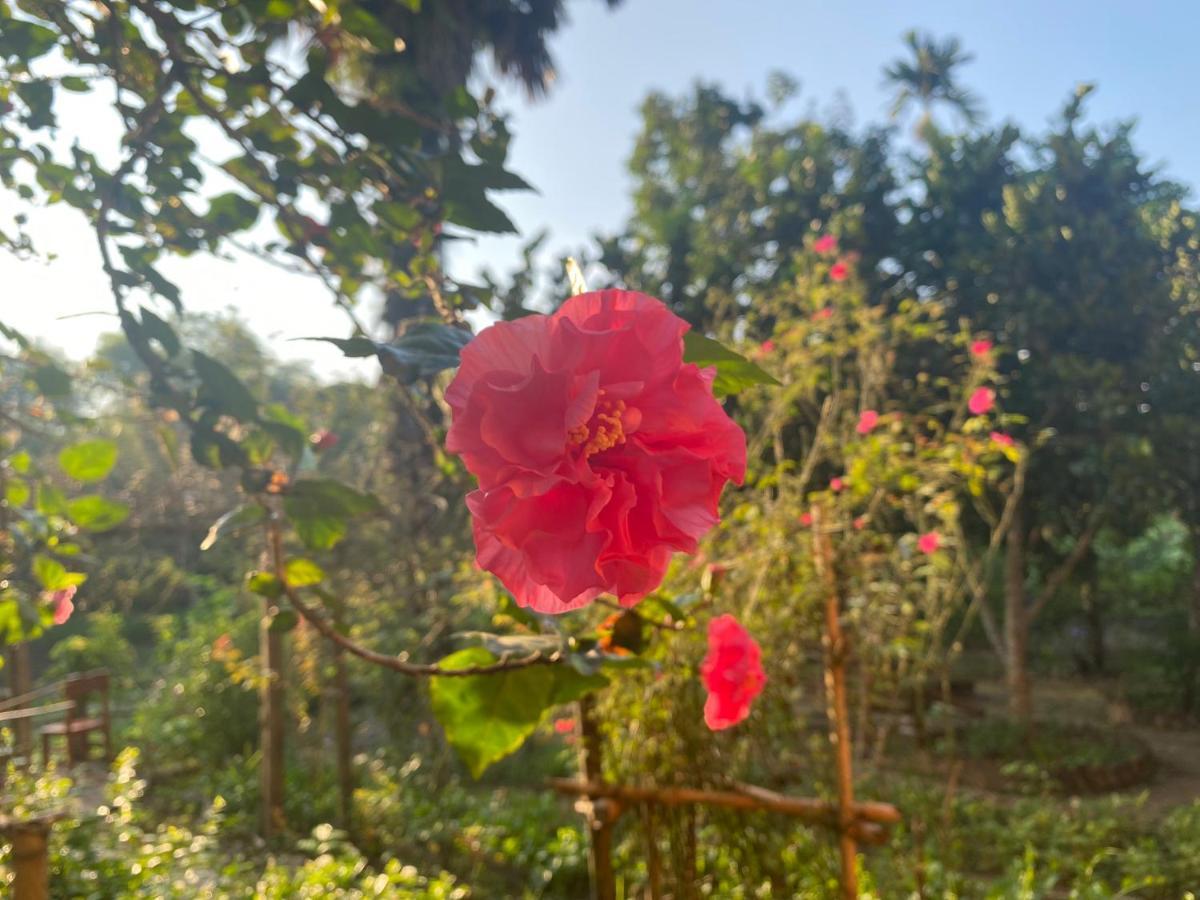 Muong Bi Homestay Hoa Binh Bagian luar foto
