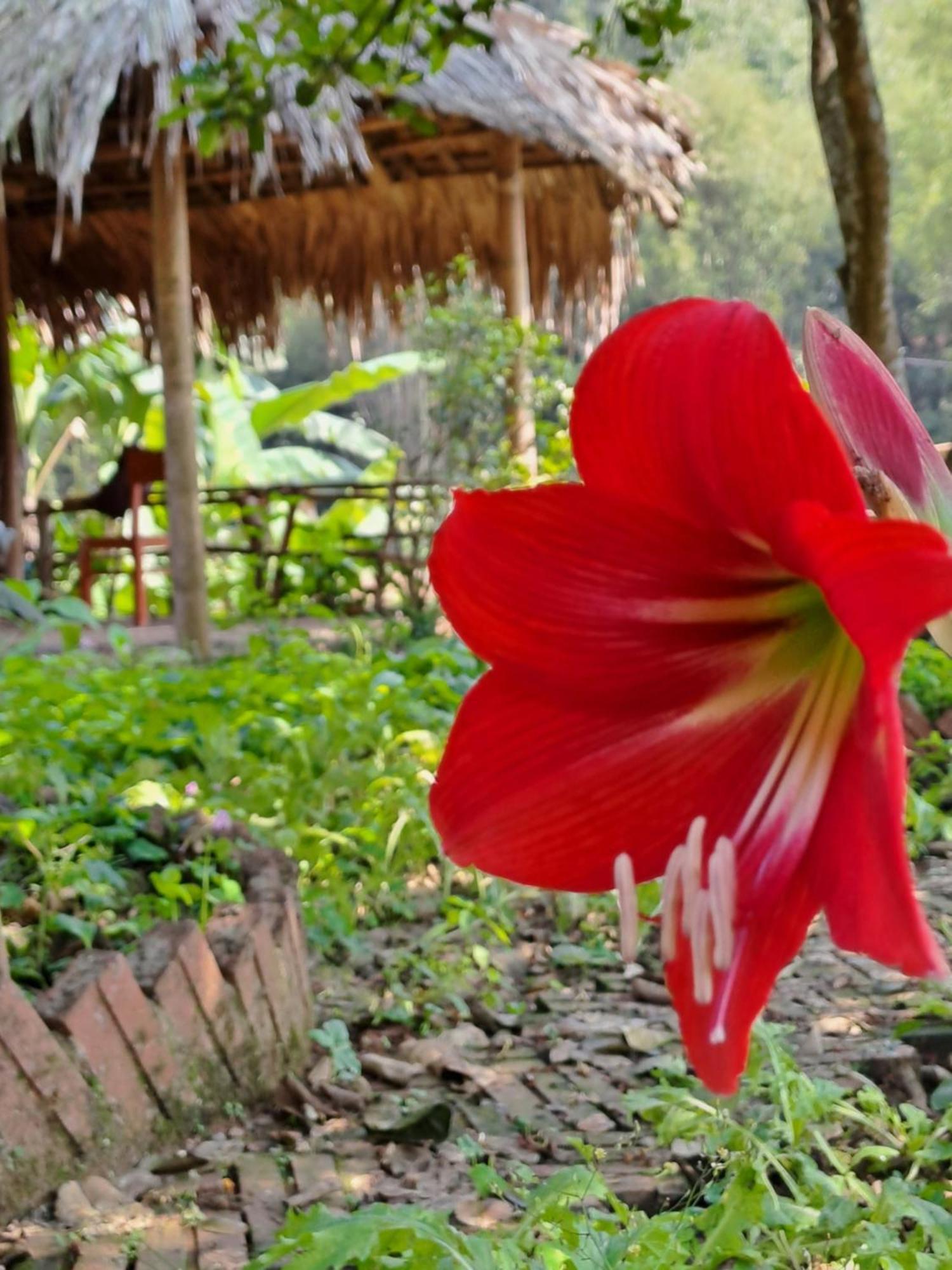 Muong Bi Homestay Hoa Binh Bagian luar foto