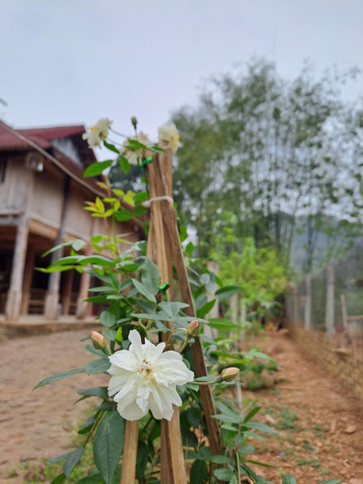Muong Bi Homestay Hoa Binh Bagian luar foto