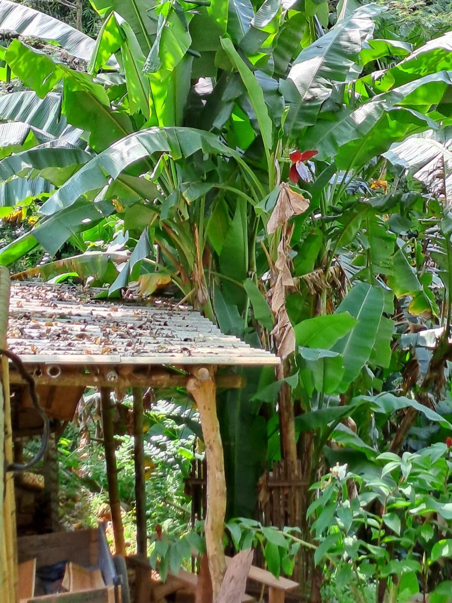 Muong Bi Homestay Hoa Binh Bagian luar foto