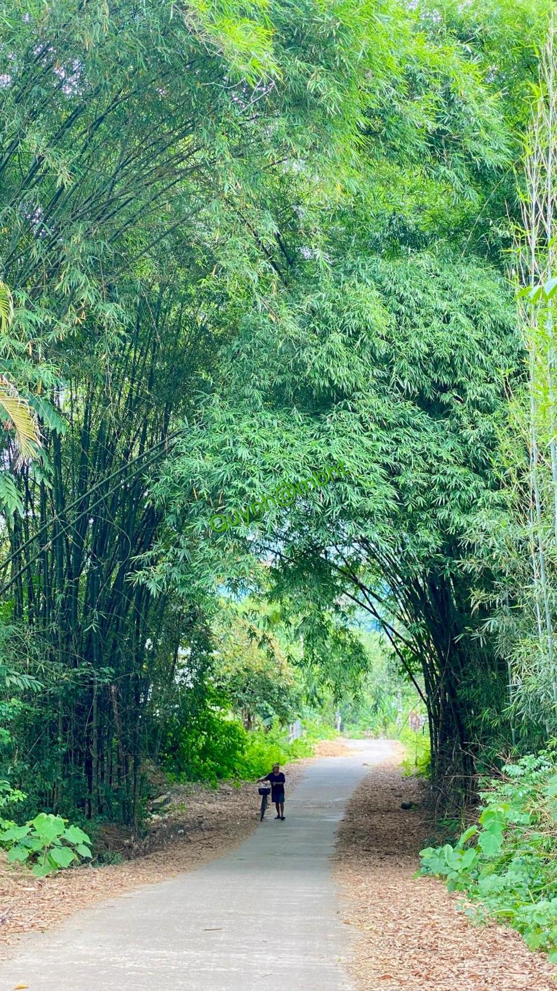 Muong Bi Homestay Hoa Binh Bagian luar foto