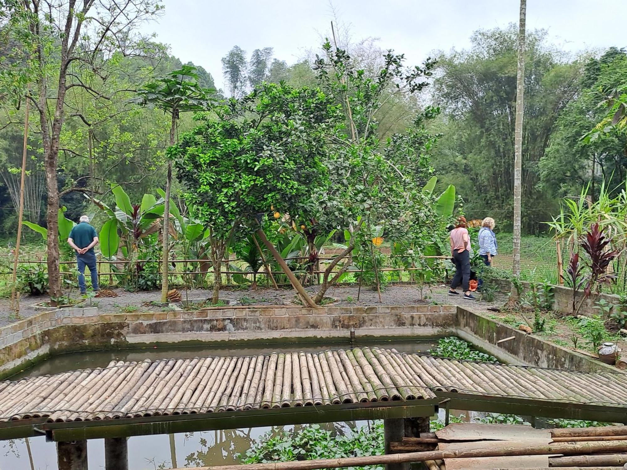 Muong Bi Homestay Hoa Binh Bagian luar foto